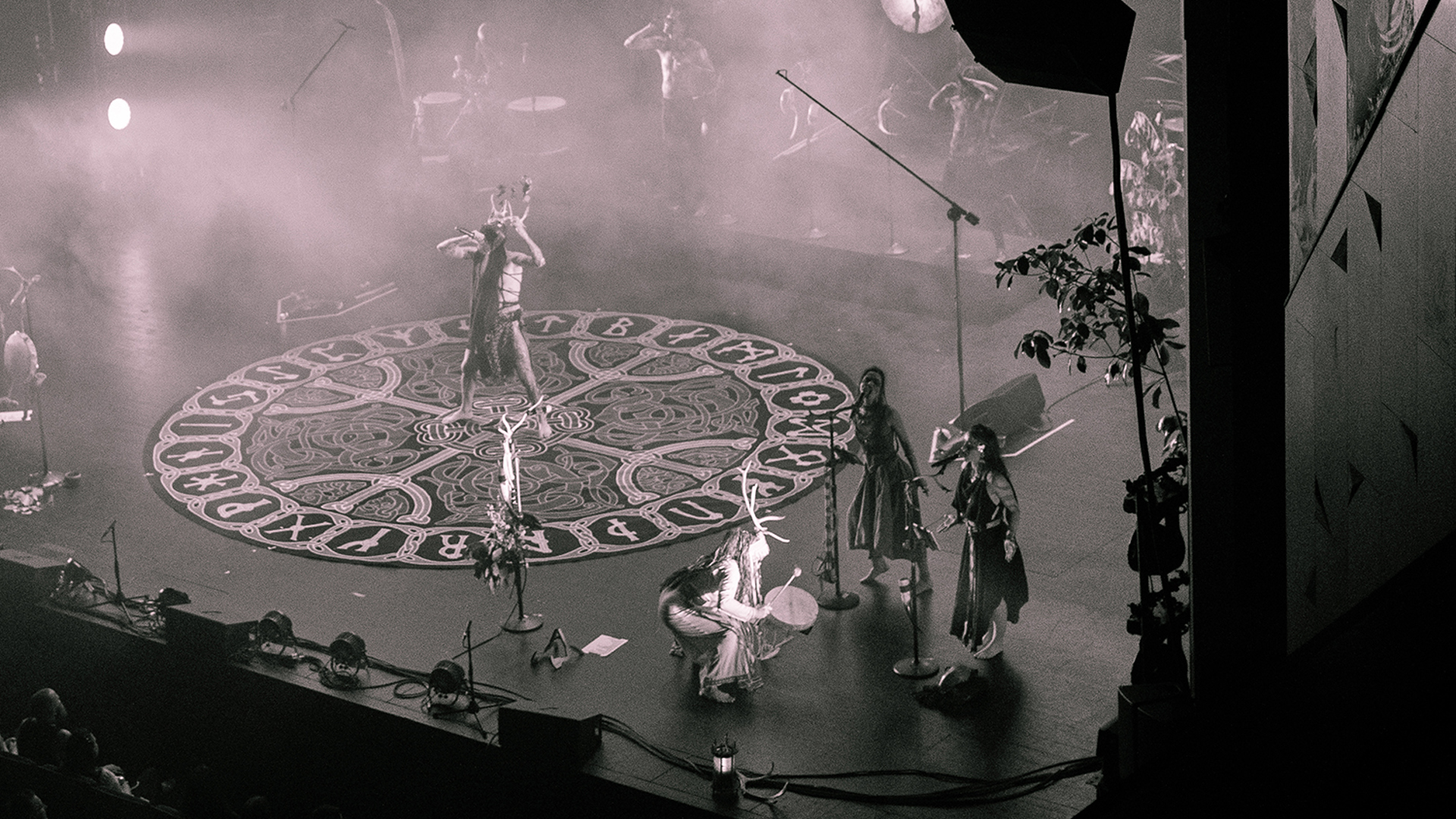Hailtree Heilung (16)